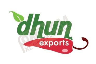 pixel Oviyam creative portfolio