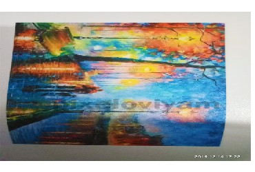 printed_portrait_canvas